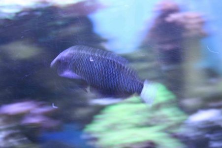 IMG_0558.jpg