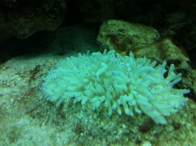 IMG_2252.JPG