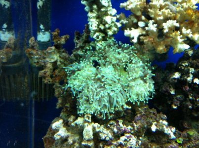 IMG_2256.JPG