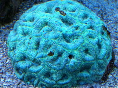 IMG_0387.jpg