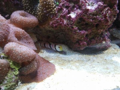 2011-05-28 19.19.02.jpg