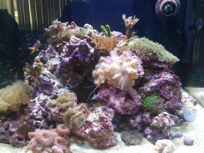 2011-05-28 19.20.32.jpg