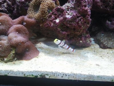 2011-05-28 20.36.22.jpg