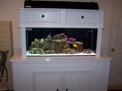 Tank photo 1.jpg