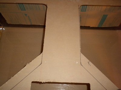 100 gallon tank 035.JPG