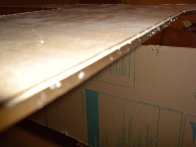 100 gallon tank 036.JPG