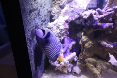 IMG_0862.jpg