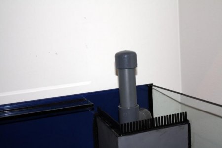 IMG_6736.jpg