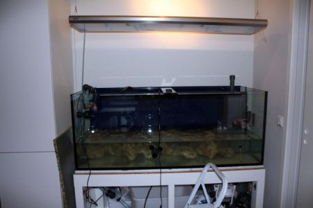 IMG_6797.jpg