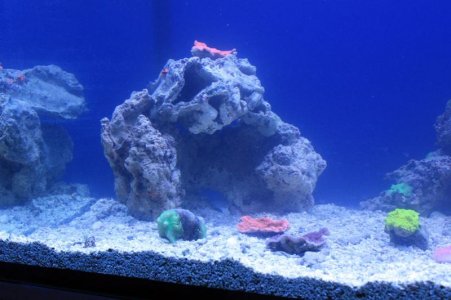 IMG_6804.jpg