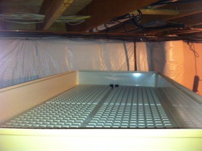 3x6 Frag Tray.jpg
