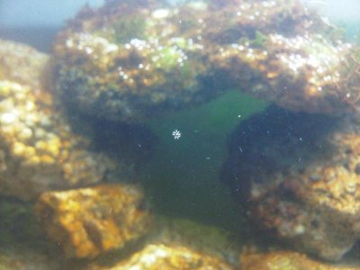 District 5-20110531-00017.jpg