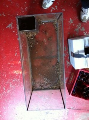 ImageUploadedByTapatalk1306966362.857694.jpg ImageUploadedByTapatalk1306966362.857694.jpg