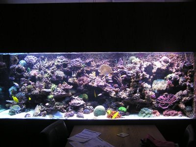 P1010435.jpg