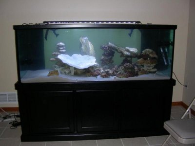 The%20New%20Tank%20014.jpg