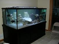 The%20New%20Tank%20015.jpg