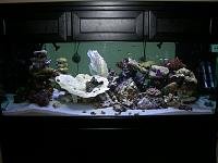 The%20New%20Tank%20035.jpg