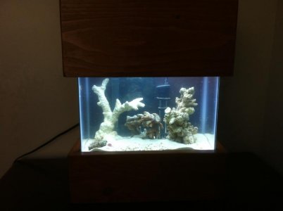 ImageUploadedByTapatalk1305057215.018410.jpg