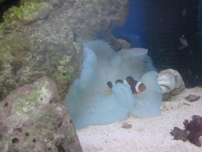 2011-05-06 20.13.25.jpg