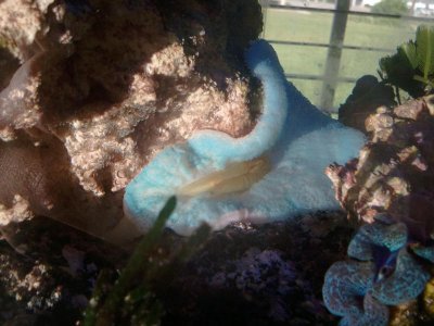 2011-06-02 10.21.53.jpg