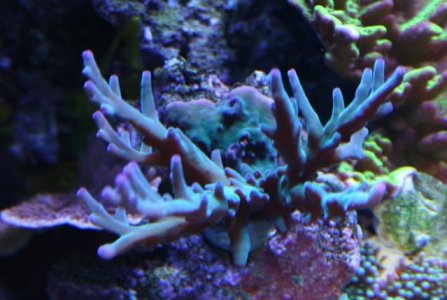 Deep water thingy.jpg