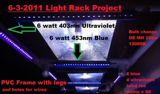 6-3-2011 New Led's.jpg