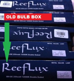 6-6-2011 Bulb change.jpg