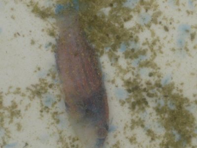 IMG_0648.jpg