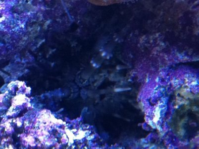 IMG_0456.jpg IMG_0456.jpg