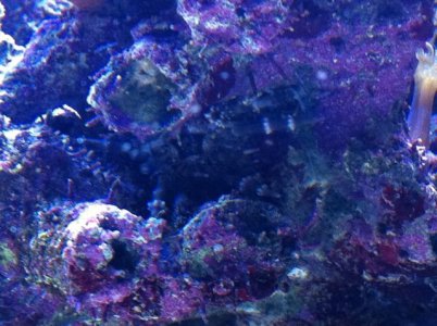 IMG_0457.jpg IMG_0457.jpg