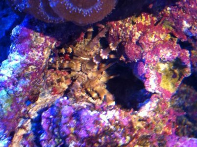 IMG_0458.jpg IMG_0458.jpg