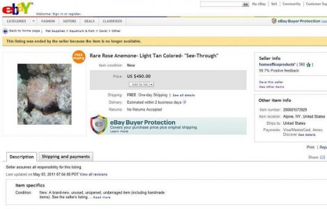 Rare Ebay Anemone.JPG