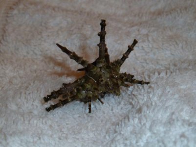 P1010260.jpg P1010260.jpg