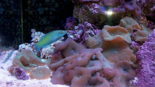 2011-03-03_17-38-45_896.jpg 2011-03-03_17-38-45_896.jpg