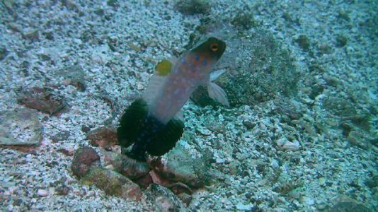 0810Lapaz_ 3202-0.jpg