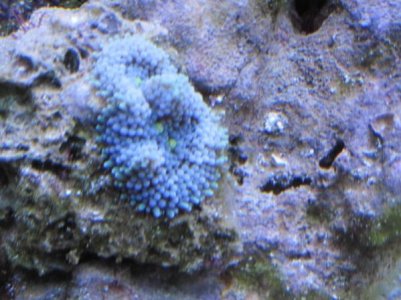 IMG_1594.jpg