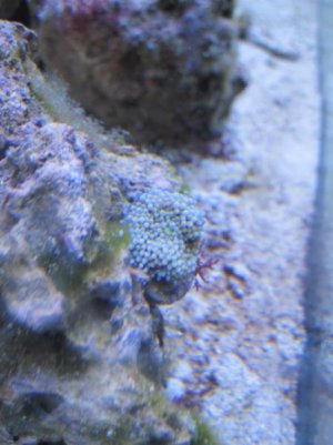 IMG_1597.jpg