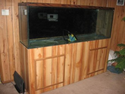 Picture207.jpg