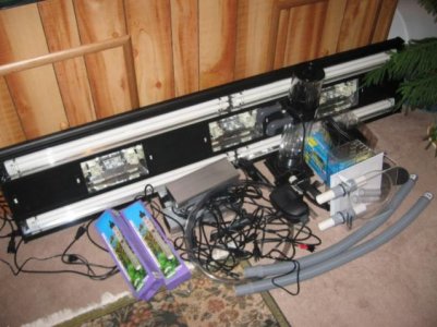 Picture2155.jpg