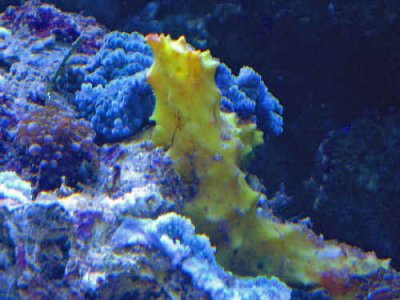 ric rockb 041406.jpg