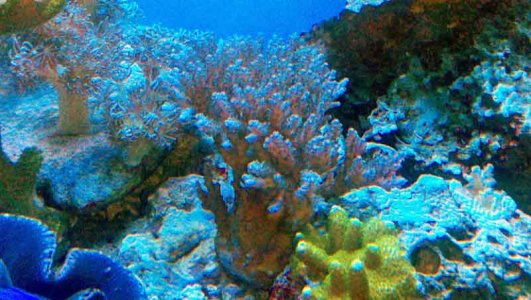 2011-05-15_10-53-20_85edit_edited-1.jpg