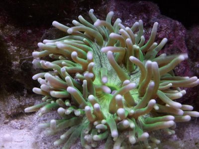 2011-05-13 18.53.24.jpg