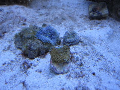 IMG_1615_1.jpg