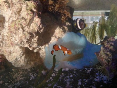 2011-06-10 15.02.06.jpg