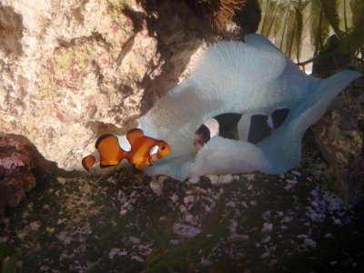 2011-06-10 15.37.50.jpg