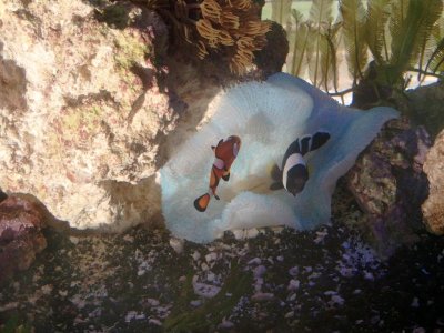 2011-06-10 15.37.17.jpg