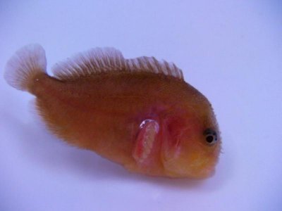 SANY0159 [1024x768].jpg