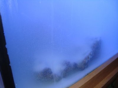 DSC02886.JPG