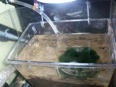 Saltwatertank 004.jpg