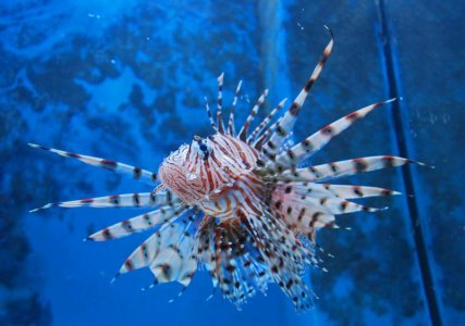 DSC_0834 1_edited-1.jpg